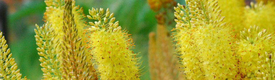 免费ddos在线攻击