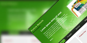 攻击网站的方法